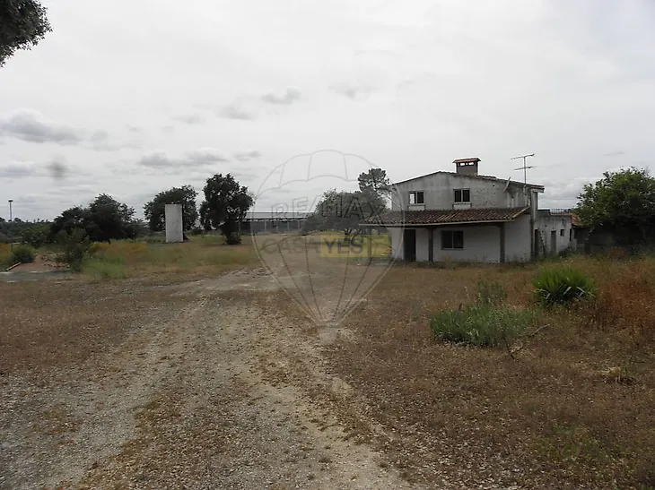 main-listing-picture-0