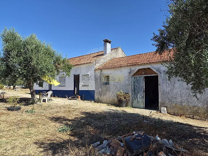 main-listing-picture-0