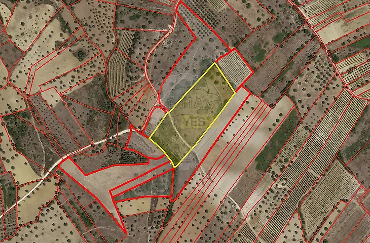 main-listing-picture-0