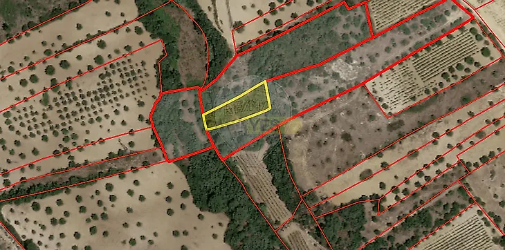 main-listing-picture-0