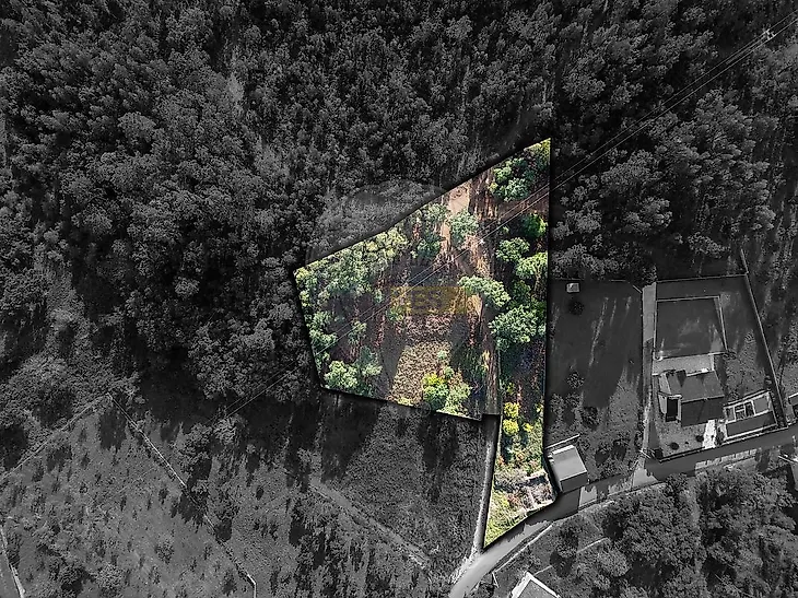 main-listing-picture-0