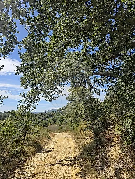 main-listing-picture-0