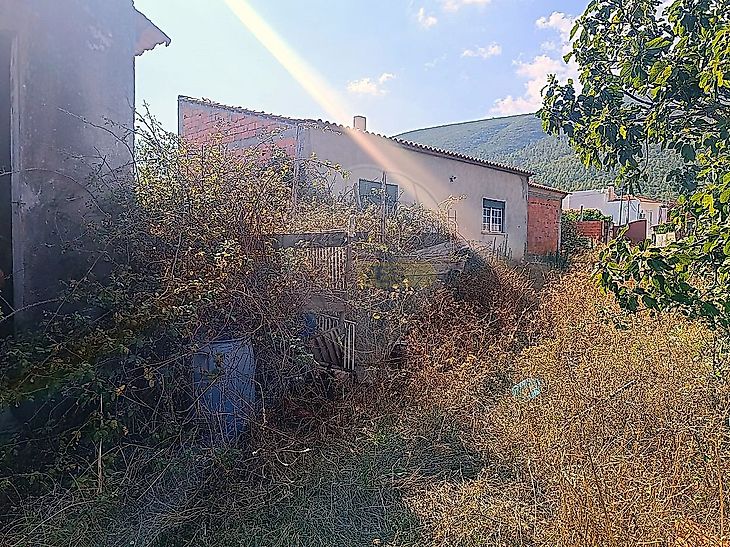 main-listing-picture-0