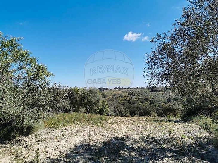 main-listing-picture-0