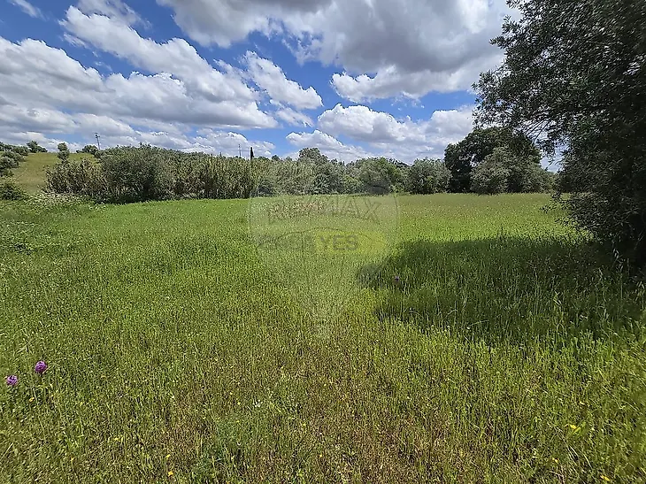 main-listing-picture-0