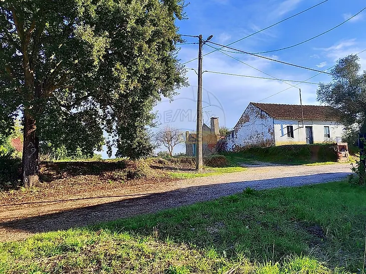 main-listing-picture-0