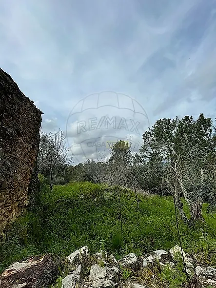 main-listing-picture-0