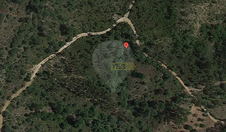 main-listing-picture-0