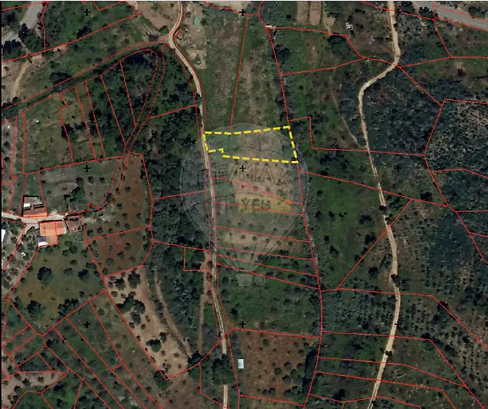 main-listing-picture-0