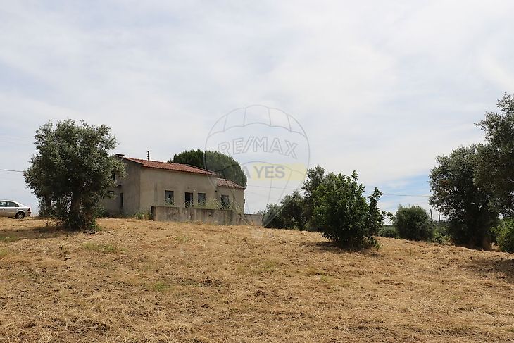 main-listing-picture-0