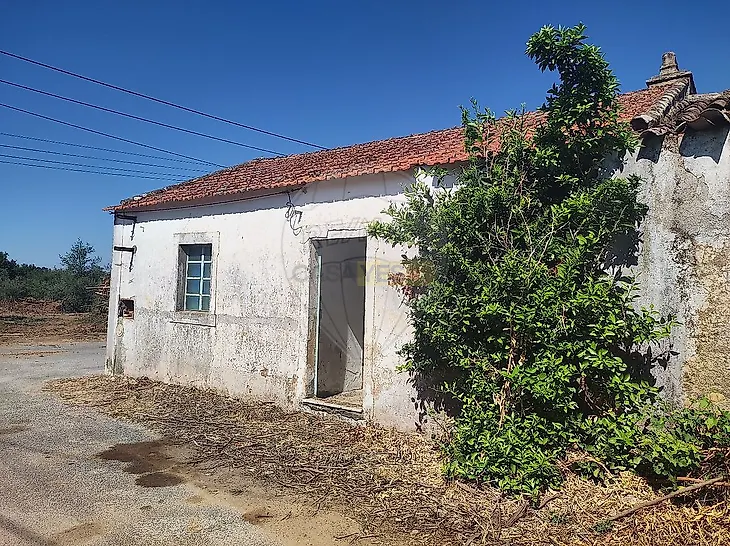 main-listing-picture-0