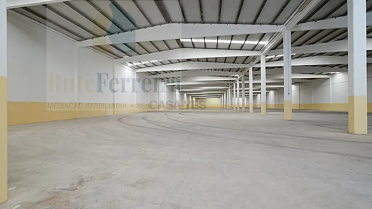 main-listing-picture-0