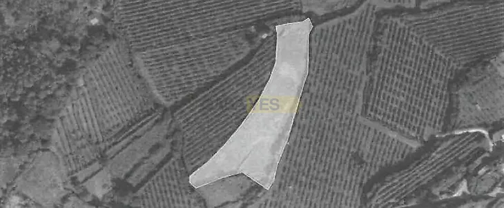 main-listing-picture-0
