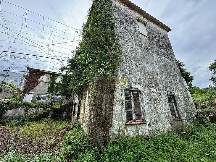 main-listing-picture-0