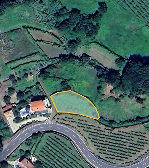 main-listing-picture-0