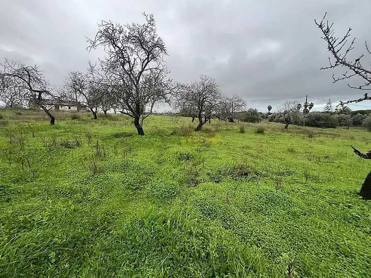 main-listing-picture-0