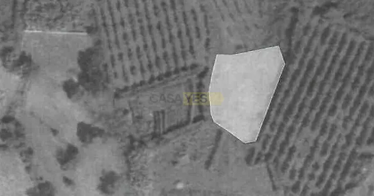 main-listing-picture-0