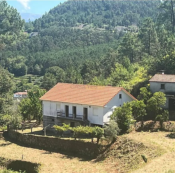 main-listing-picture-0