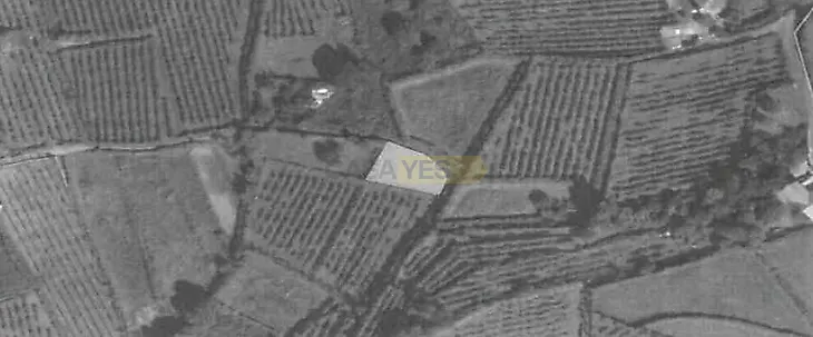 main-listing-picture-0