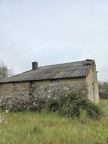 main-listing-picture-0