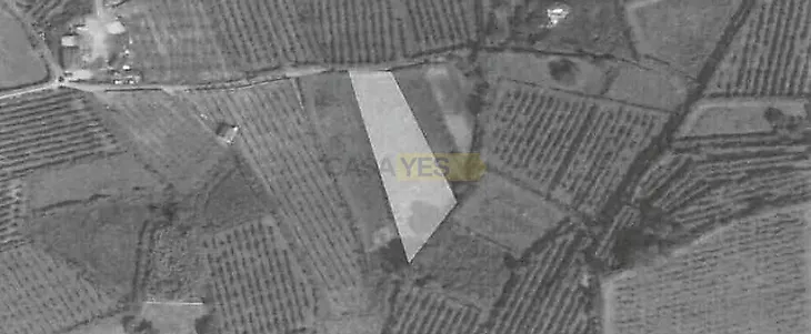 main-listing-picture-0