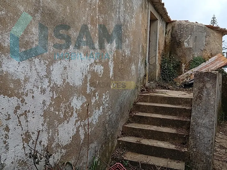 main-listing-picture-0