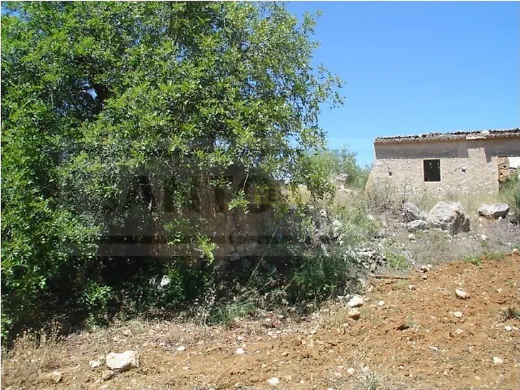 main-listing-picture-0