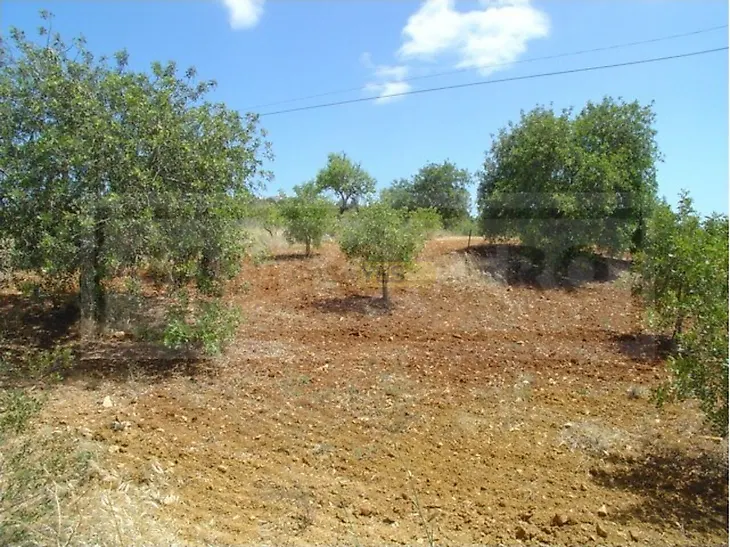 main-listing-picture-0