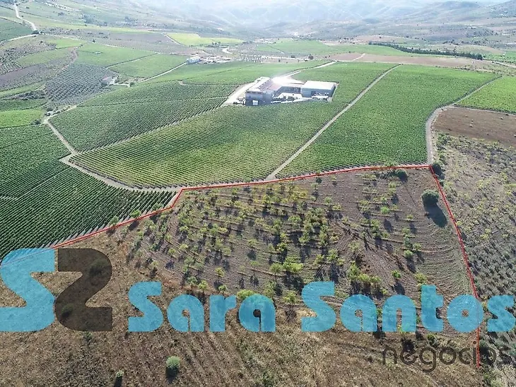 main-listing-picture-0
