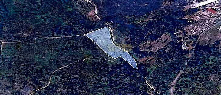 main-listing-picture-0