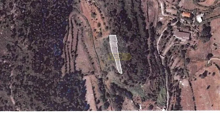 main-listing-picture-0