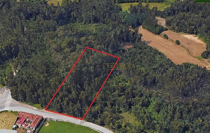 main-listing-picture-0