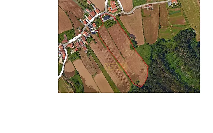 main-listing-picture-0