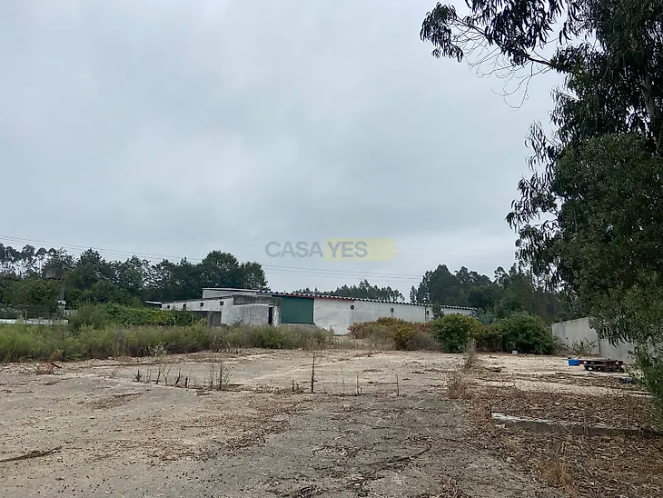 main-listing-picture-0