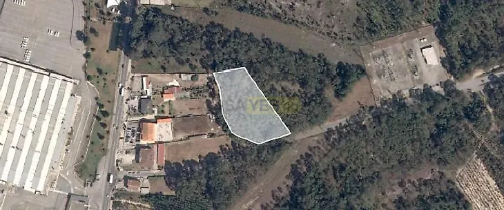 main-listing-picture-0