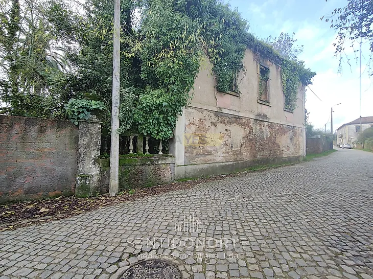 main-listing-picture-0