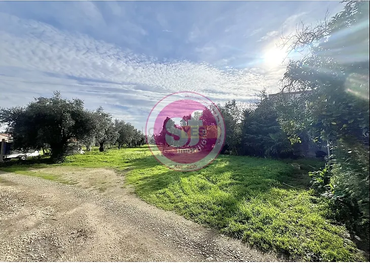 main-listing-picture-0