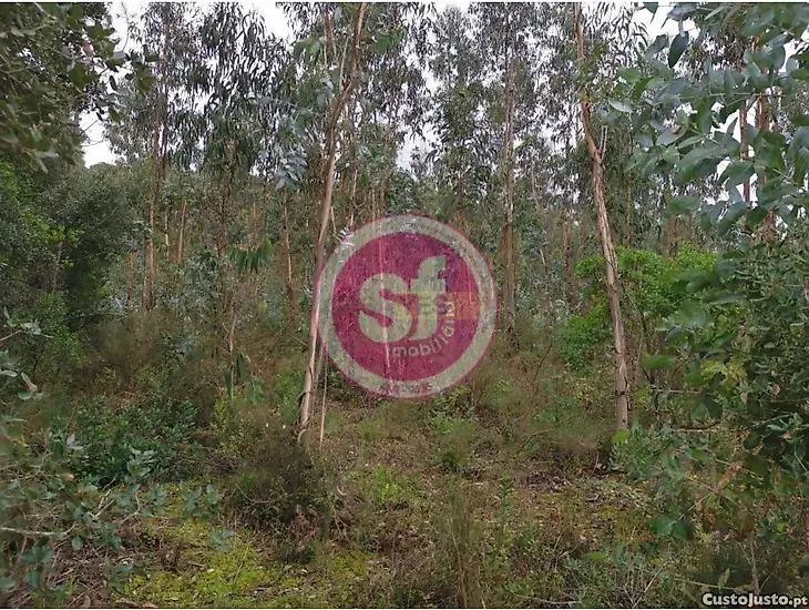 main-listing-picture-0