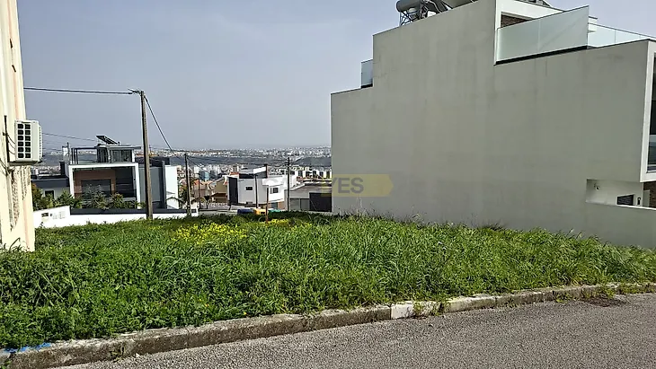 main-listing-picture-0