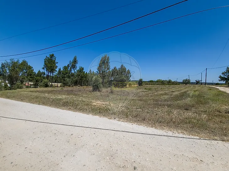 main-listing-picture-0