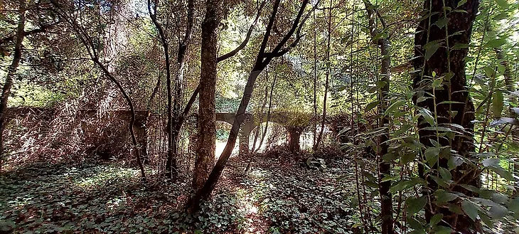 main-listing-picture-0