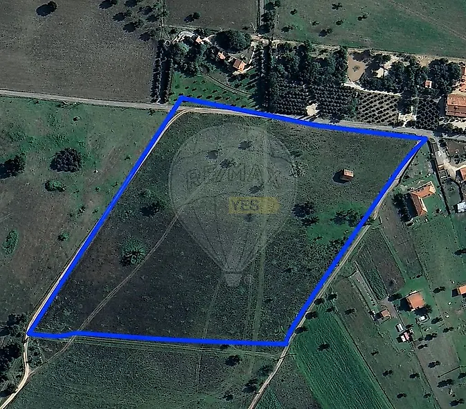 main-listing-picture-0