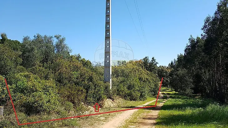 main-listing-picture-0