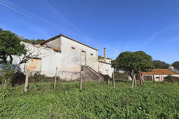 main-listing-picture-0