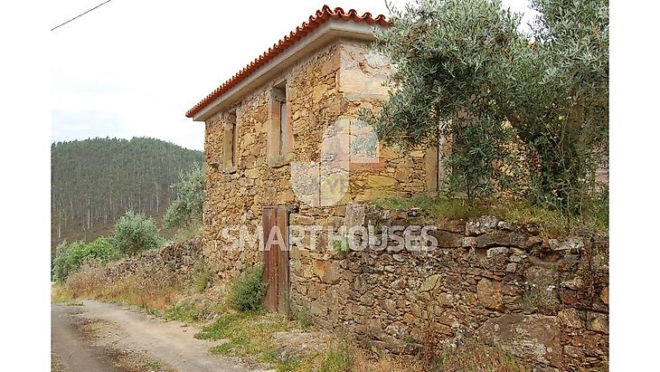 main-listing-picture-0
