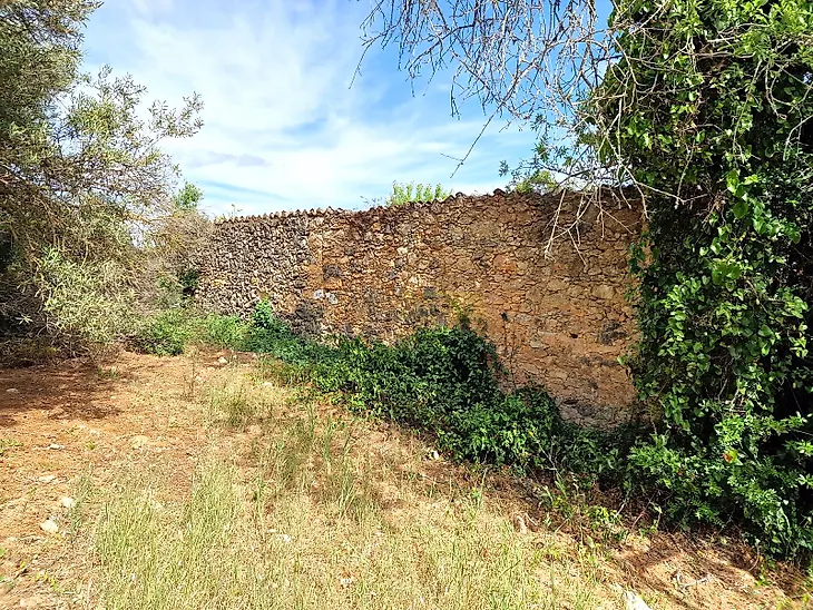 main-listing-picture-0