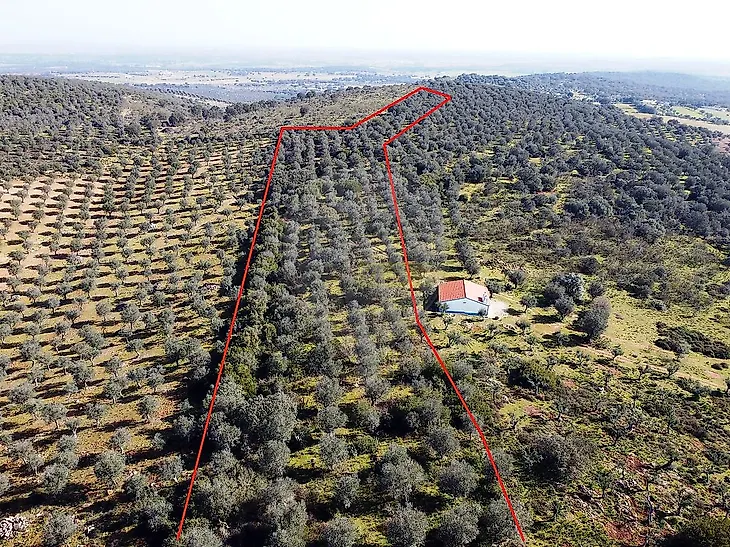 main-listing-picture-0