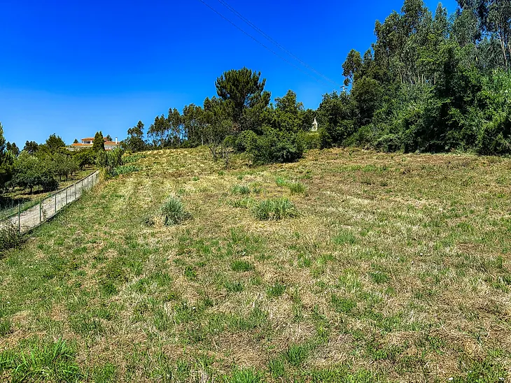 main-listing-picture-0