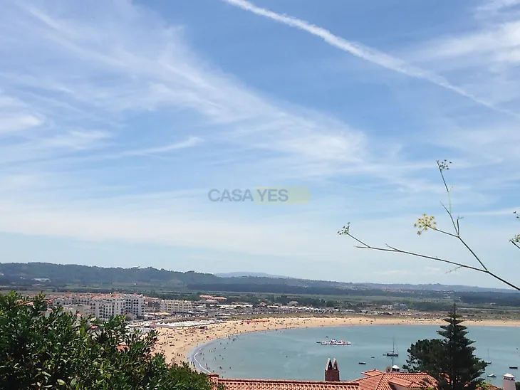 main-listing-picture-0