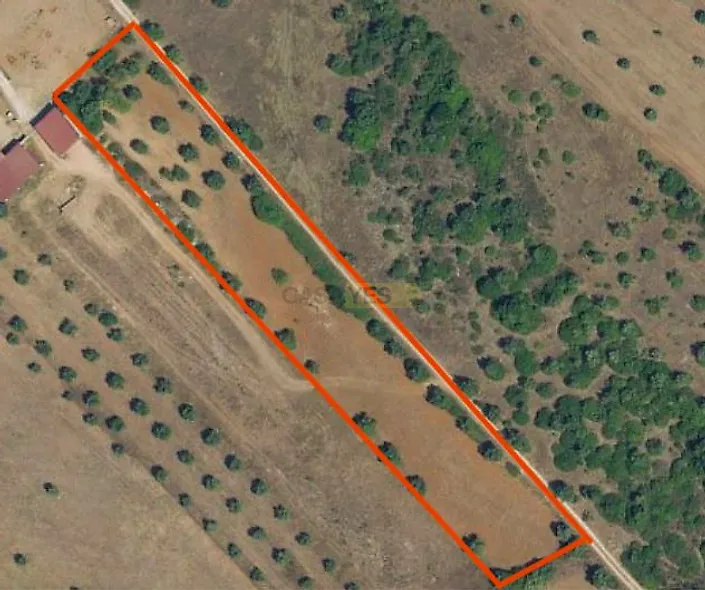 main-listing-picture-0